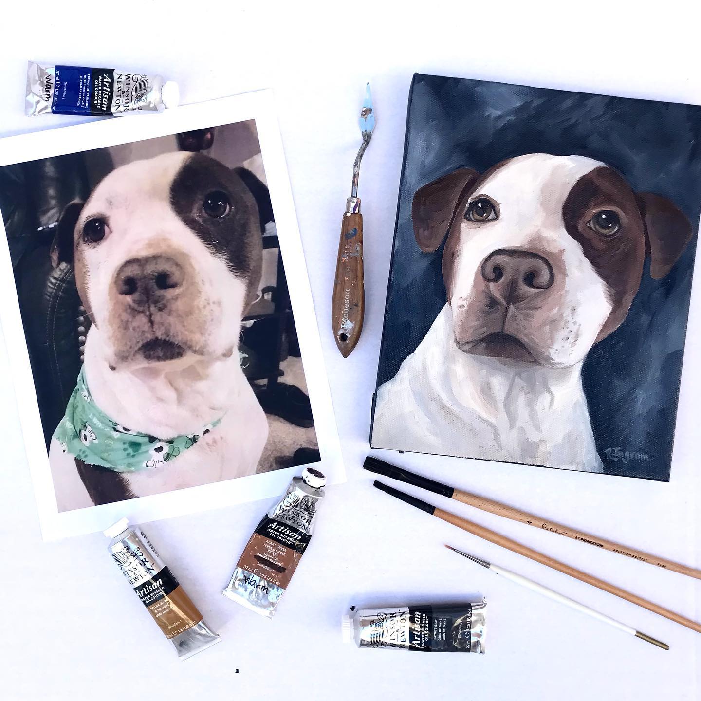 animal portraits